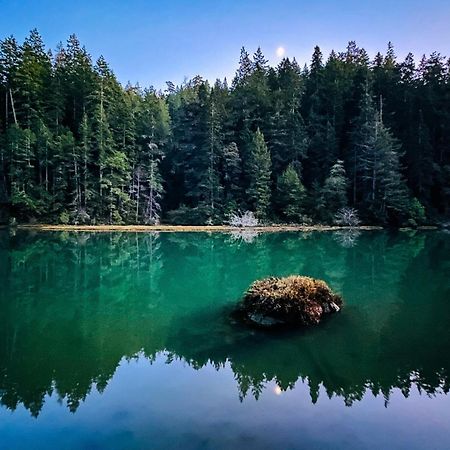 Mendocino Redwood Retreat - Vista Home Albion Dış mekan fotoğraf