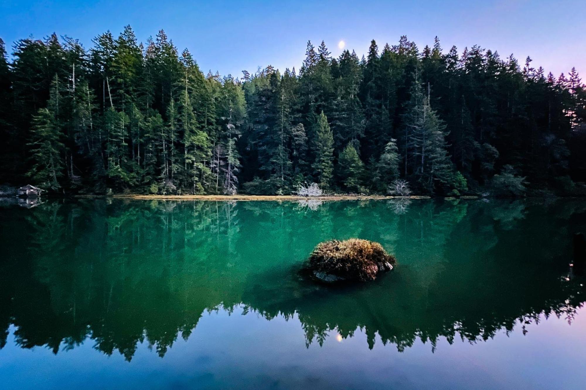Mendocino Redwood Retreat - Vista Home Albion Dış mekan fotoğraf