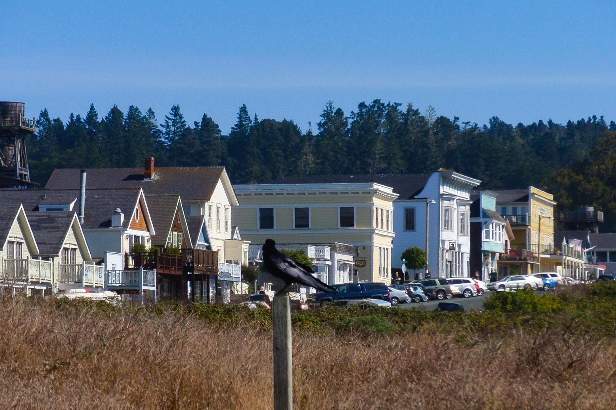 Mendocino Redwood Retreat - Vista Home Albion Dış mekan fotoğraf