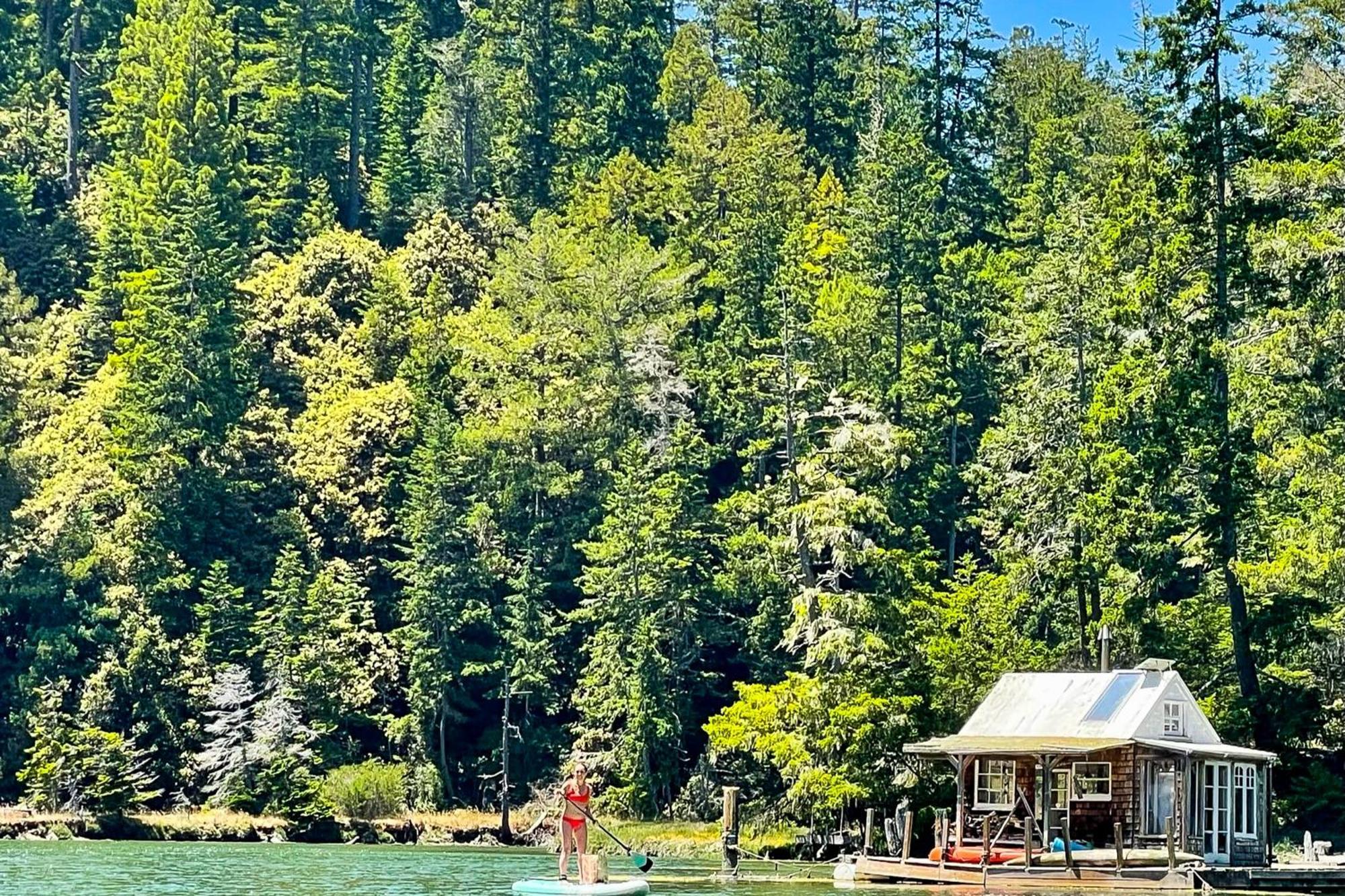 Mendocino Redwood Retreat - Vista Home Albion Dış mekan fotoğraf