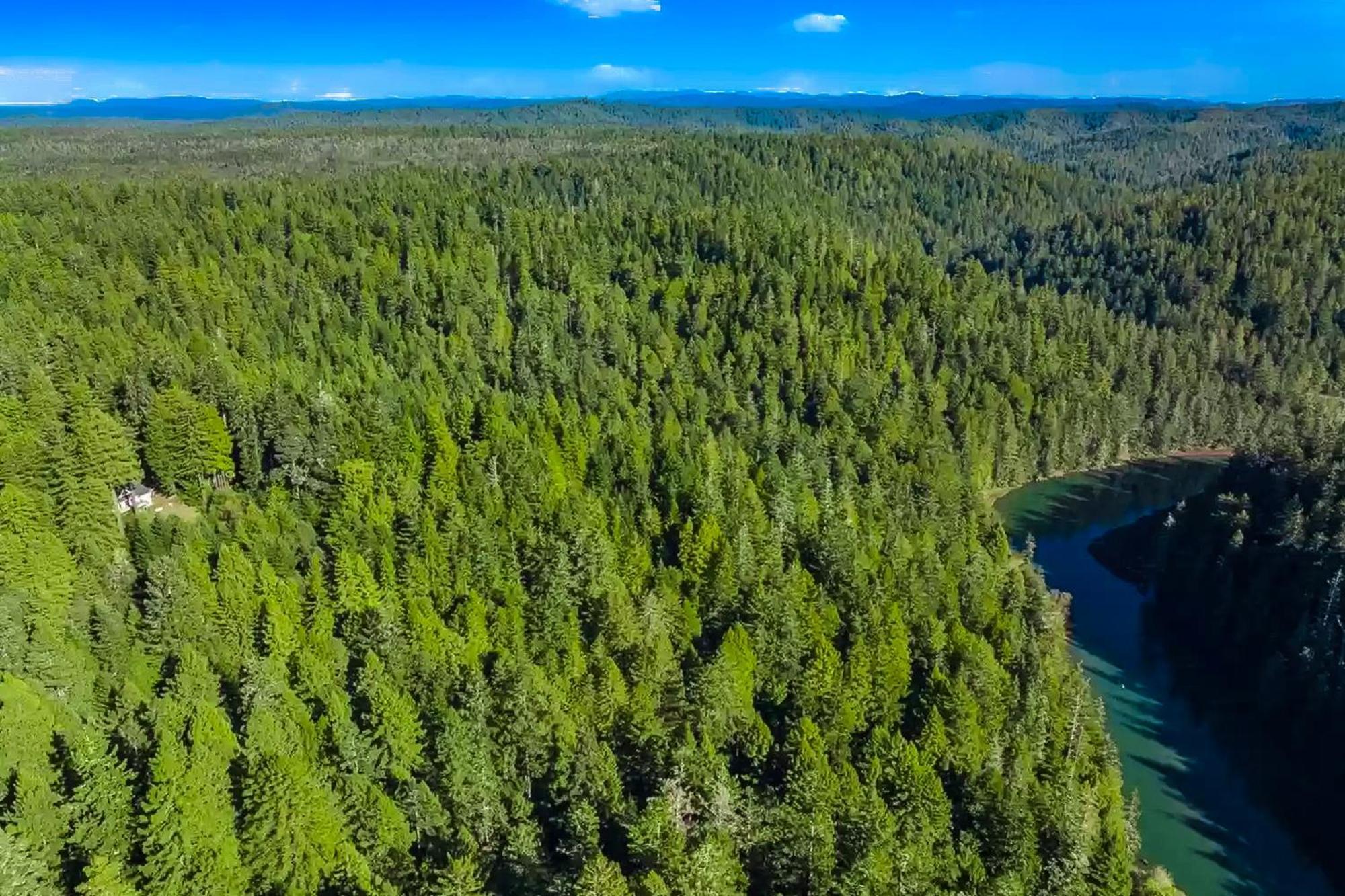 Mendocino Redwood Retreat - Vista Home Albion Dış mekan fotoğraf