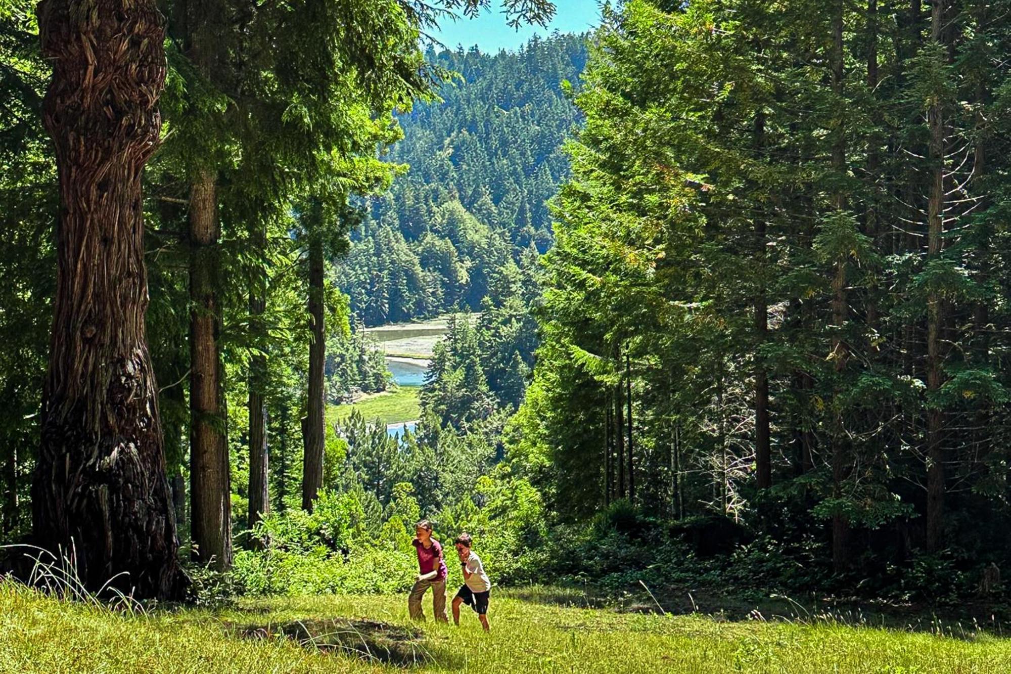 Mendocino Redwood Retreat - Vista Home Albion Dış mekan fotoğraf
