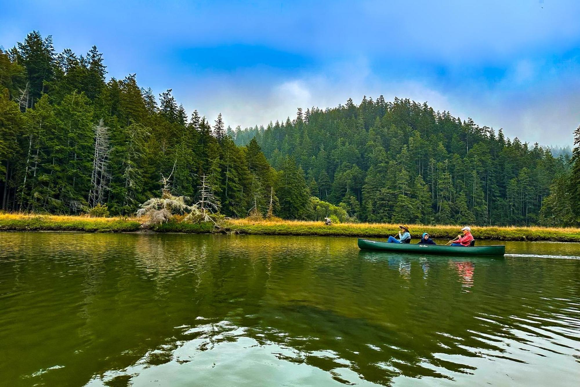 Mendocino Redwood Retreat - Vista Home Albion Dış mekan fotoğraf